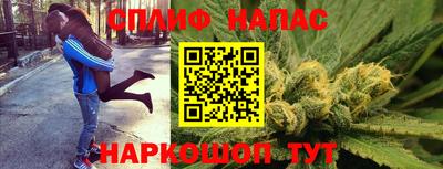 прущие грибы Малоярославец