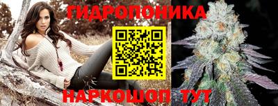 прущие грибы Малоярославец
