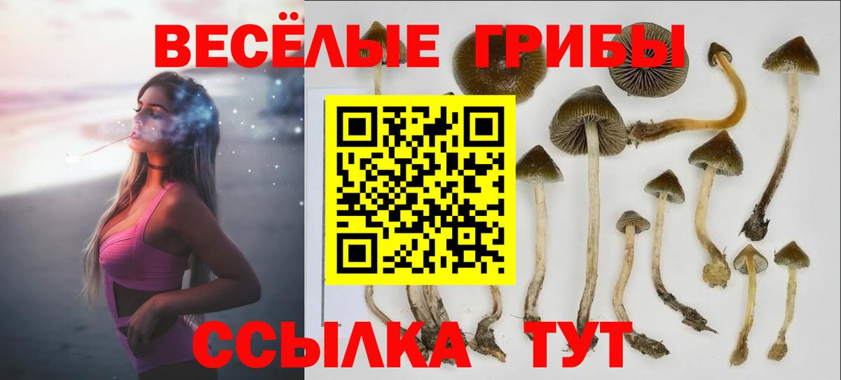 Галлюциногенные грибы GOLDEN TEACHER Чистополь